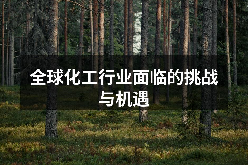 全球化工行业面临的挑战与机遇